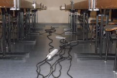 Noch-ist-der-Kabelkanal-leer